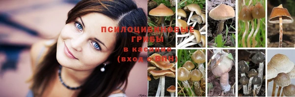 mdpv Лиски