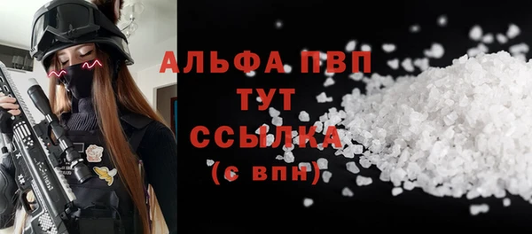 гидра Липки