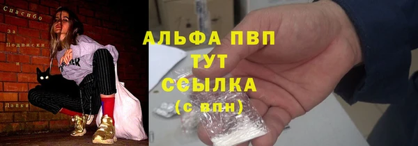 гидра Липки