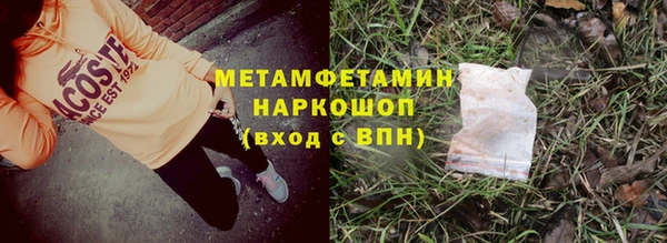 гидра Липки